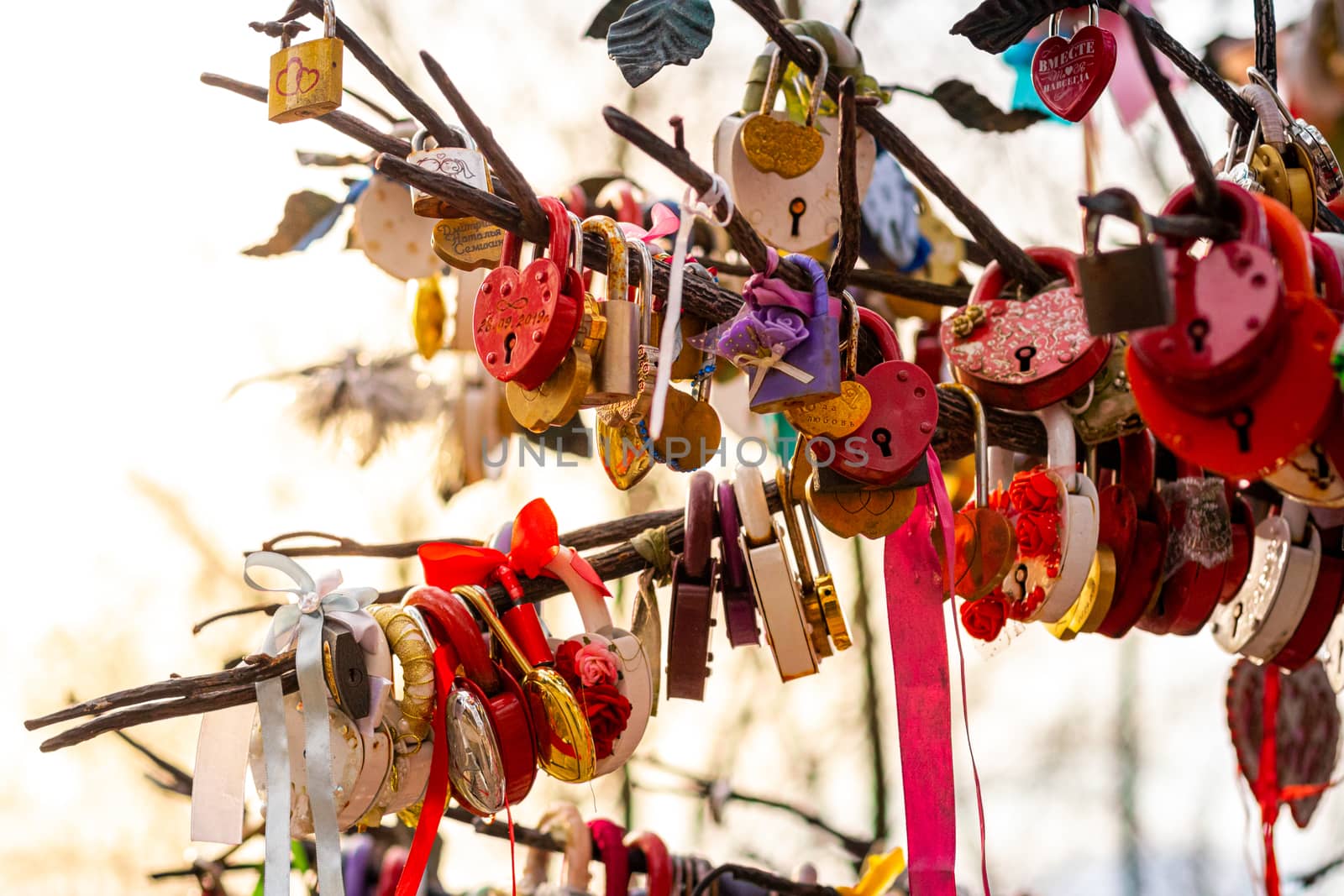 Many wedding colorful locks with the names of the newlyweds and wishes in Russian on a wedding tree. Symbol of love, marriage and happiness.