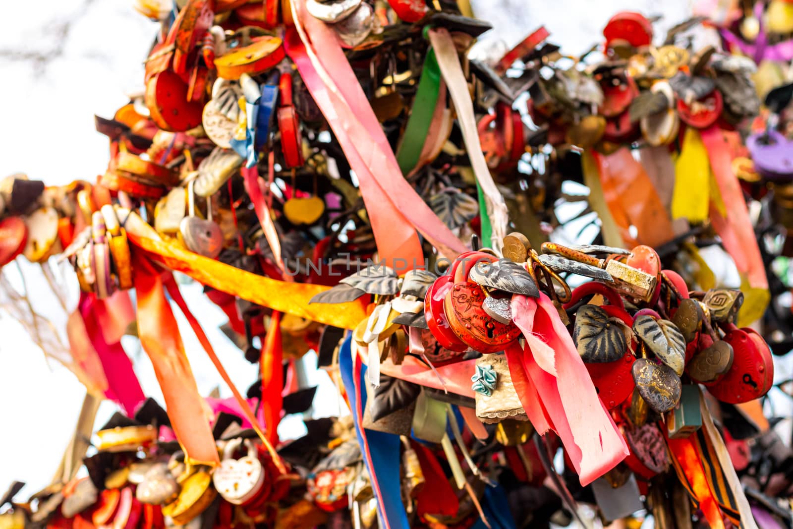 Many wedding colorful locks with the names of the newlyweds and wishes in Russian on a wedding tree. Symbol of love, marriage and happiness.