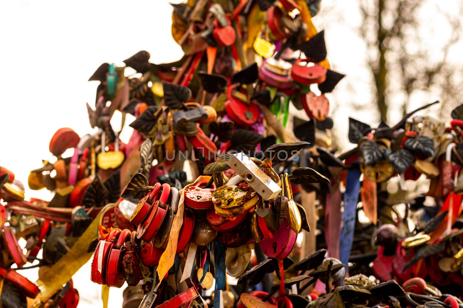 Many wedding colorful locks with the names of the newlyweds and wishes in Russian on a wedding tree. Symbol of love, marriage and happiness.