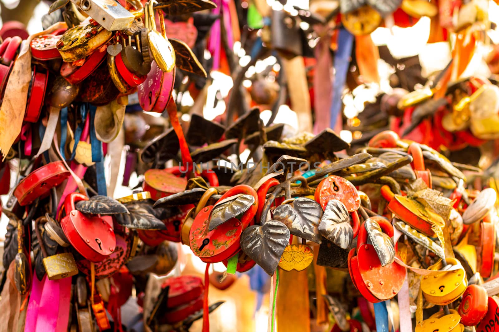 Many wedding colorful locks with the names of the newlyweds and wishes in Russian on a wedding tree. Symbol of love, marriage and happiness.