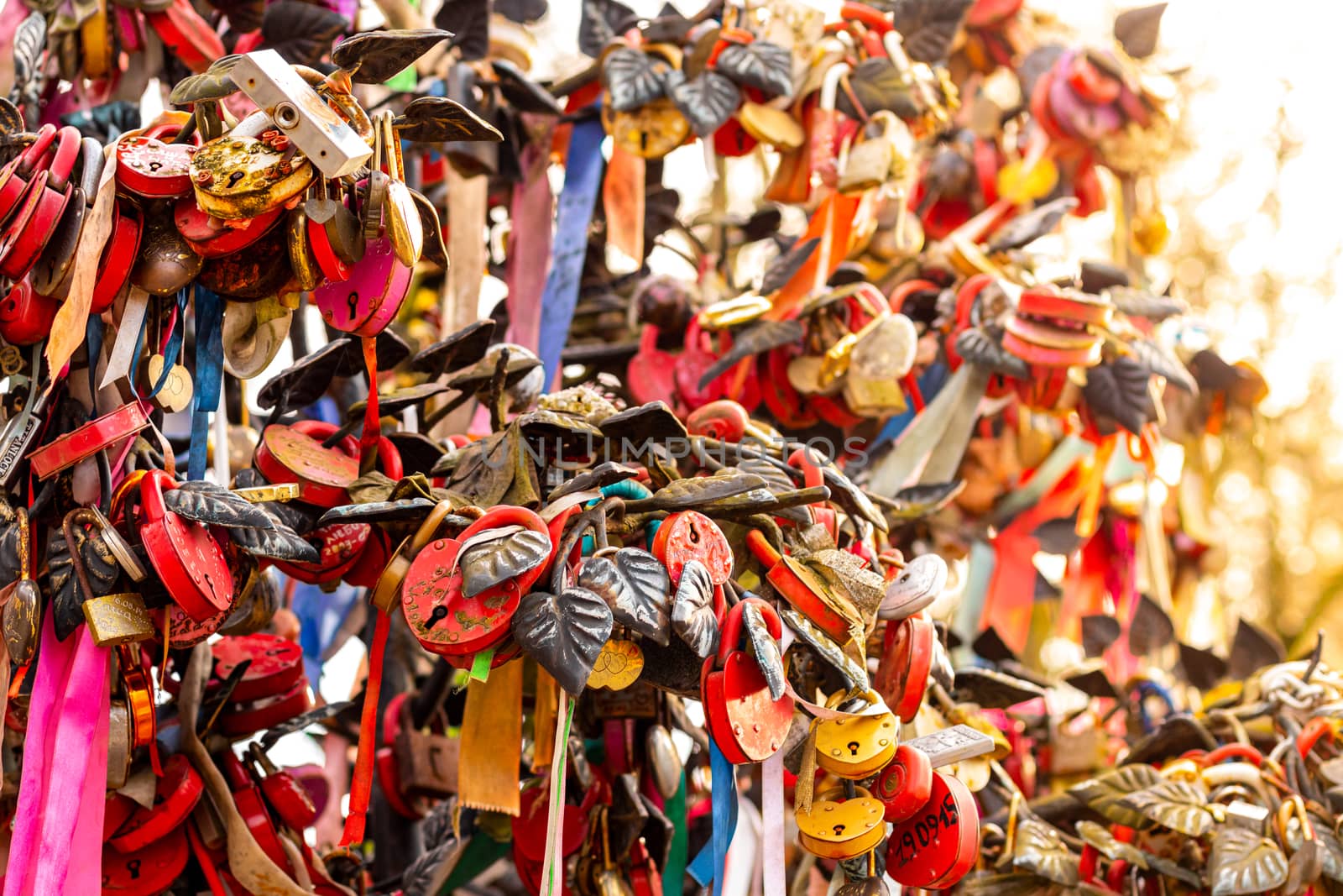 Many wedding colorful locks with the names of the newlyweds and wishes in Russian on a wedding tree. Symbol of love, marriage and happiness.