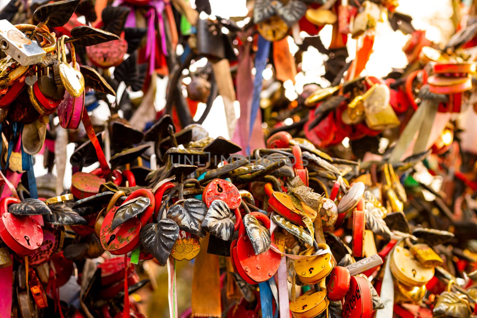 Many wedding colorful locks. by Eugene_Yemelyanov