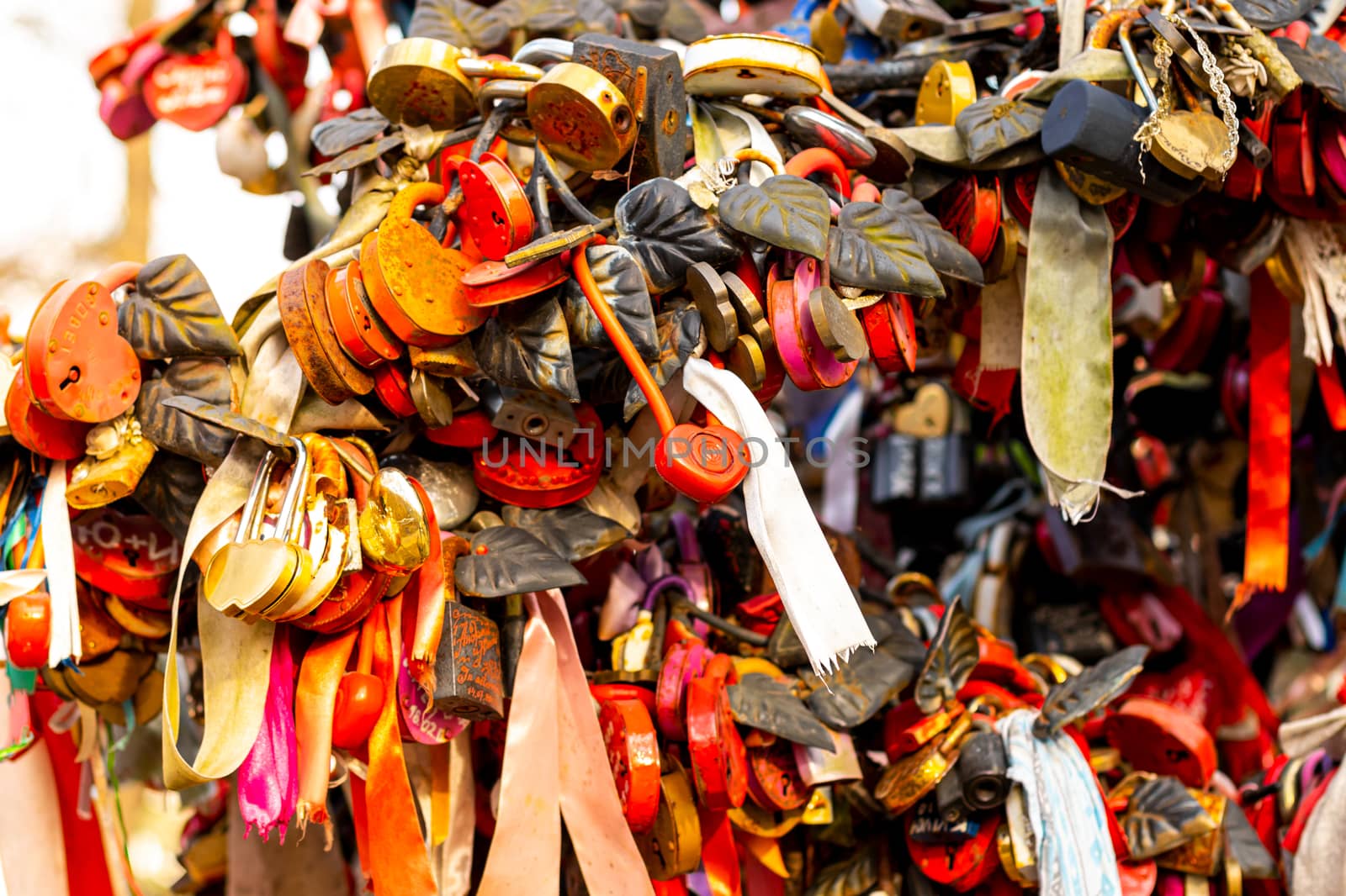 Many wedding colorful locks with the names of the newlyweds and wishes in Russian on a wedding tree. Symbol of love, marriage and happiness.