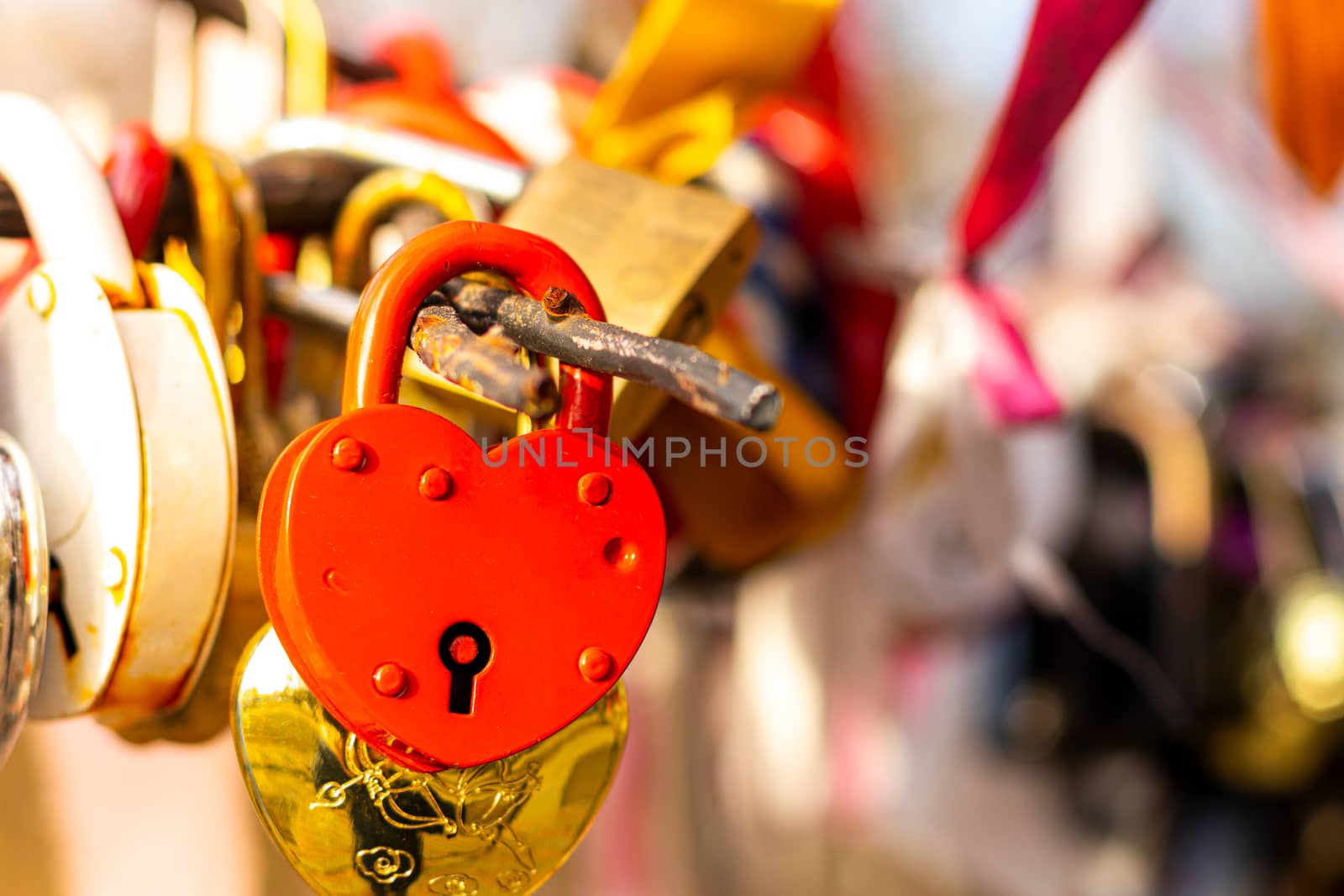 Many wedding colorful locks on a wedding tree. Symbol of love, marriage and happiness.