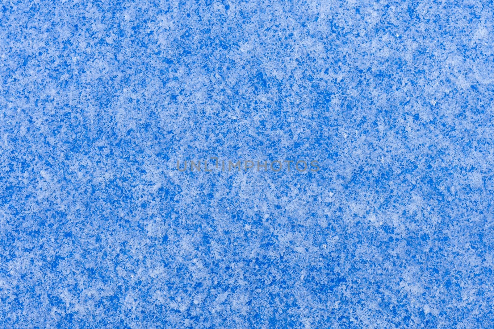 beautiful snow on colored background