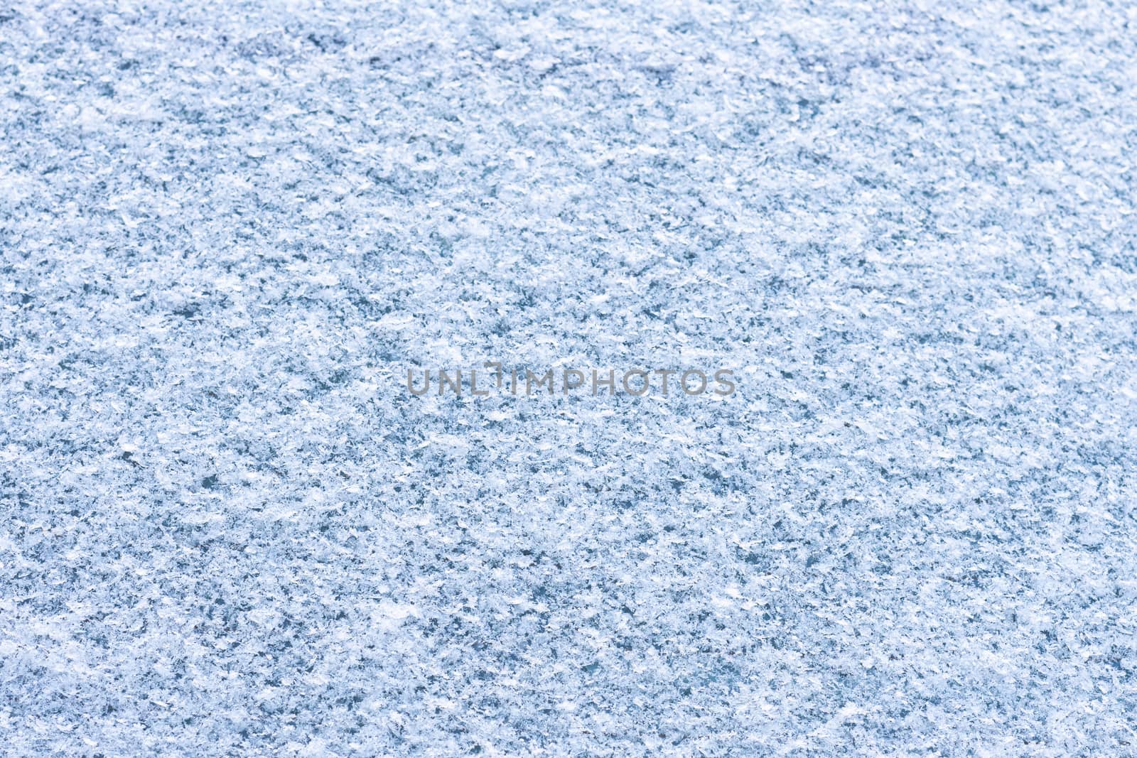 beautiful snow on colored background