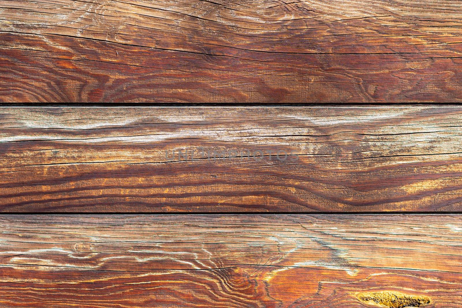 wooden wall with logs by Serhii_Voroshchuk