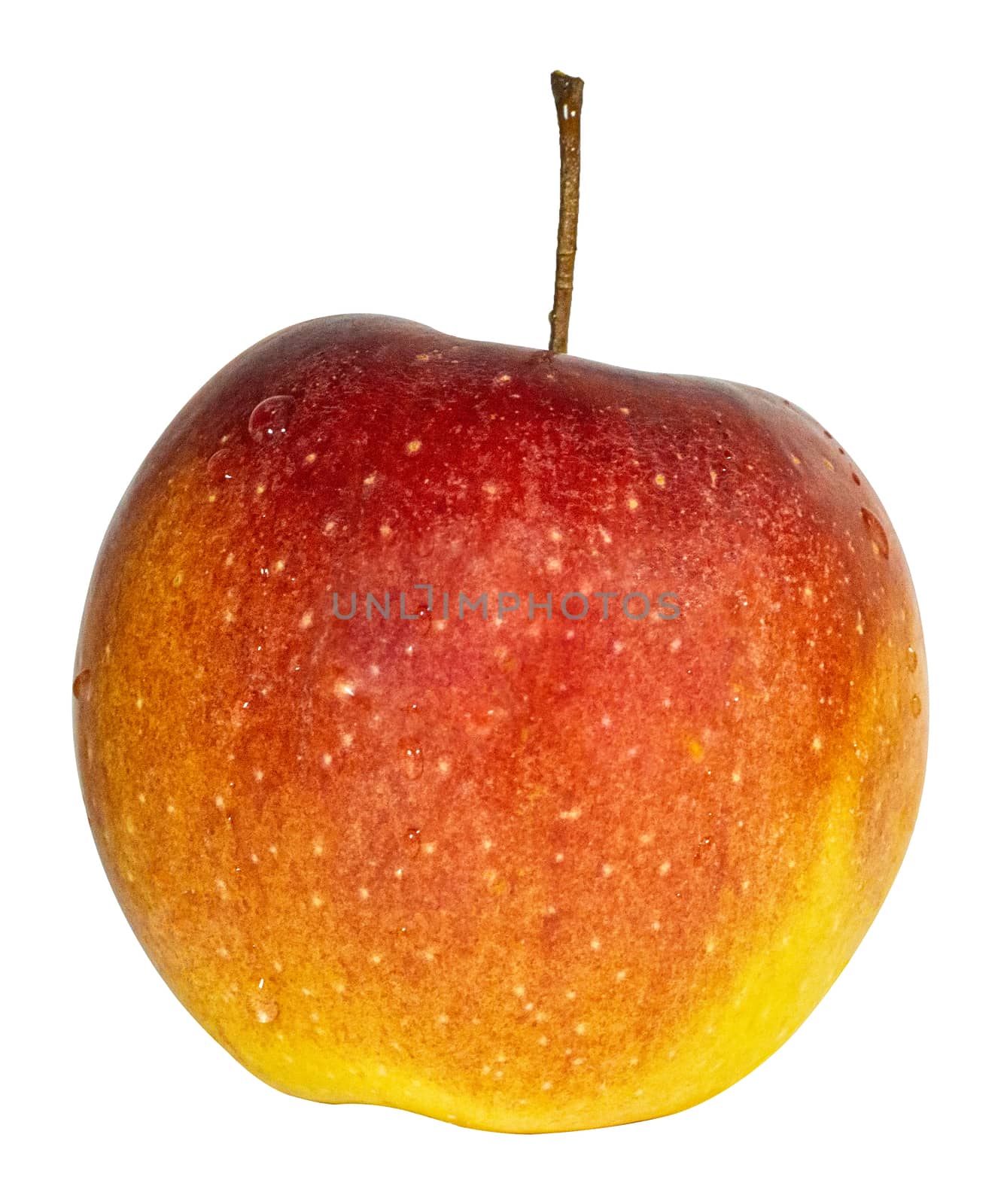 red ripe apple on a white background by Serhii_Voroshchuk