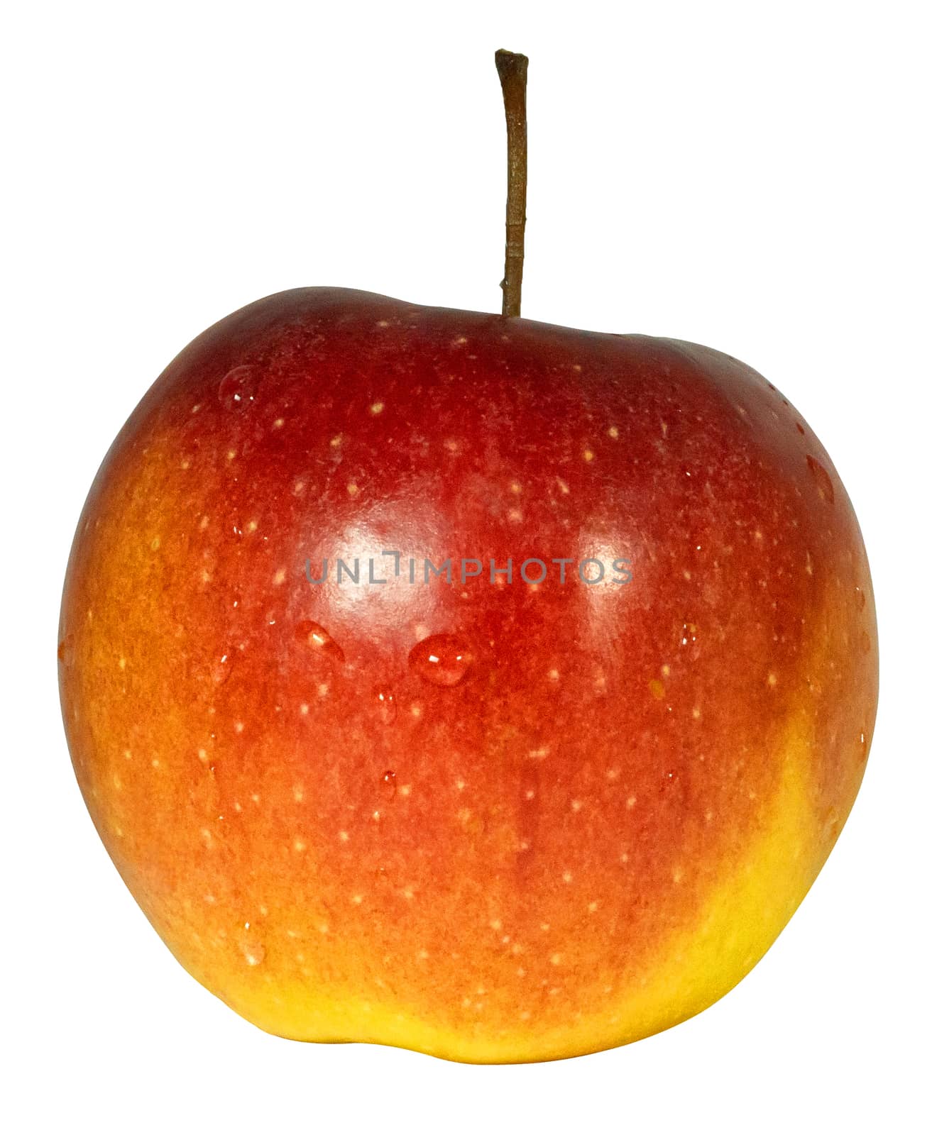 red ripe apple on a white background by Serhii_Voroshchuk