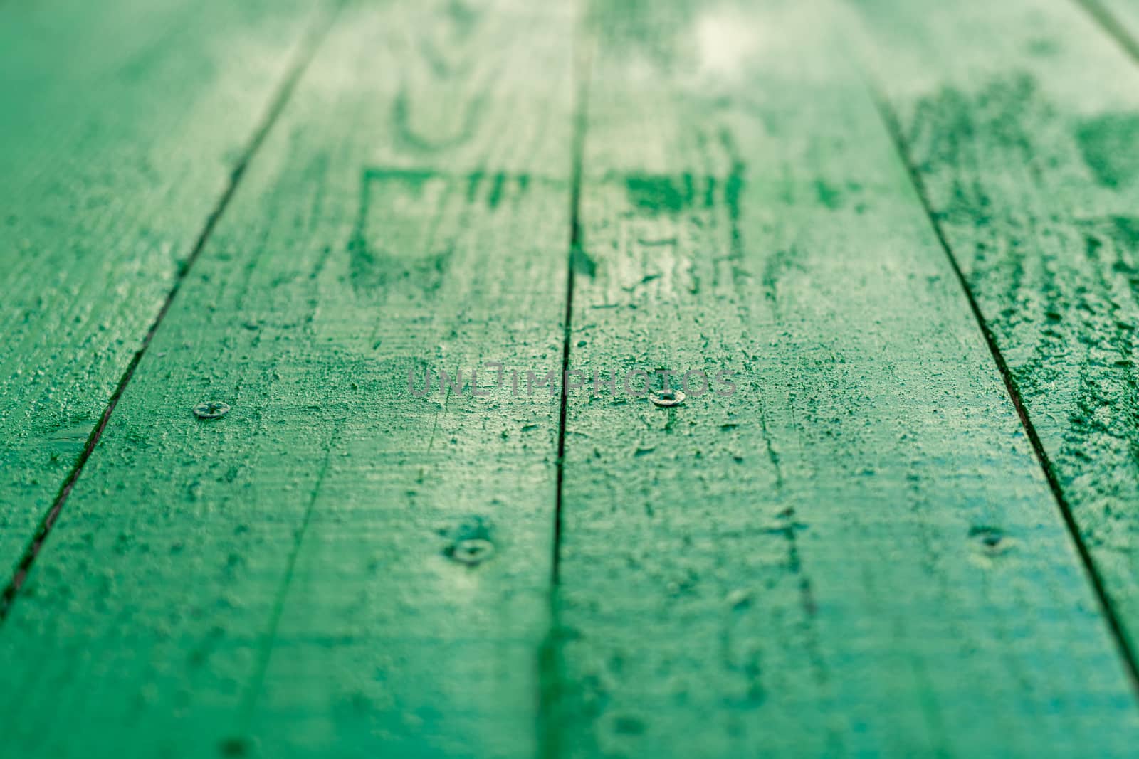 background of wooden boards just painted with green paint by Serhii_Voroshchuk