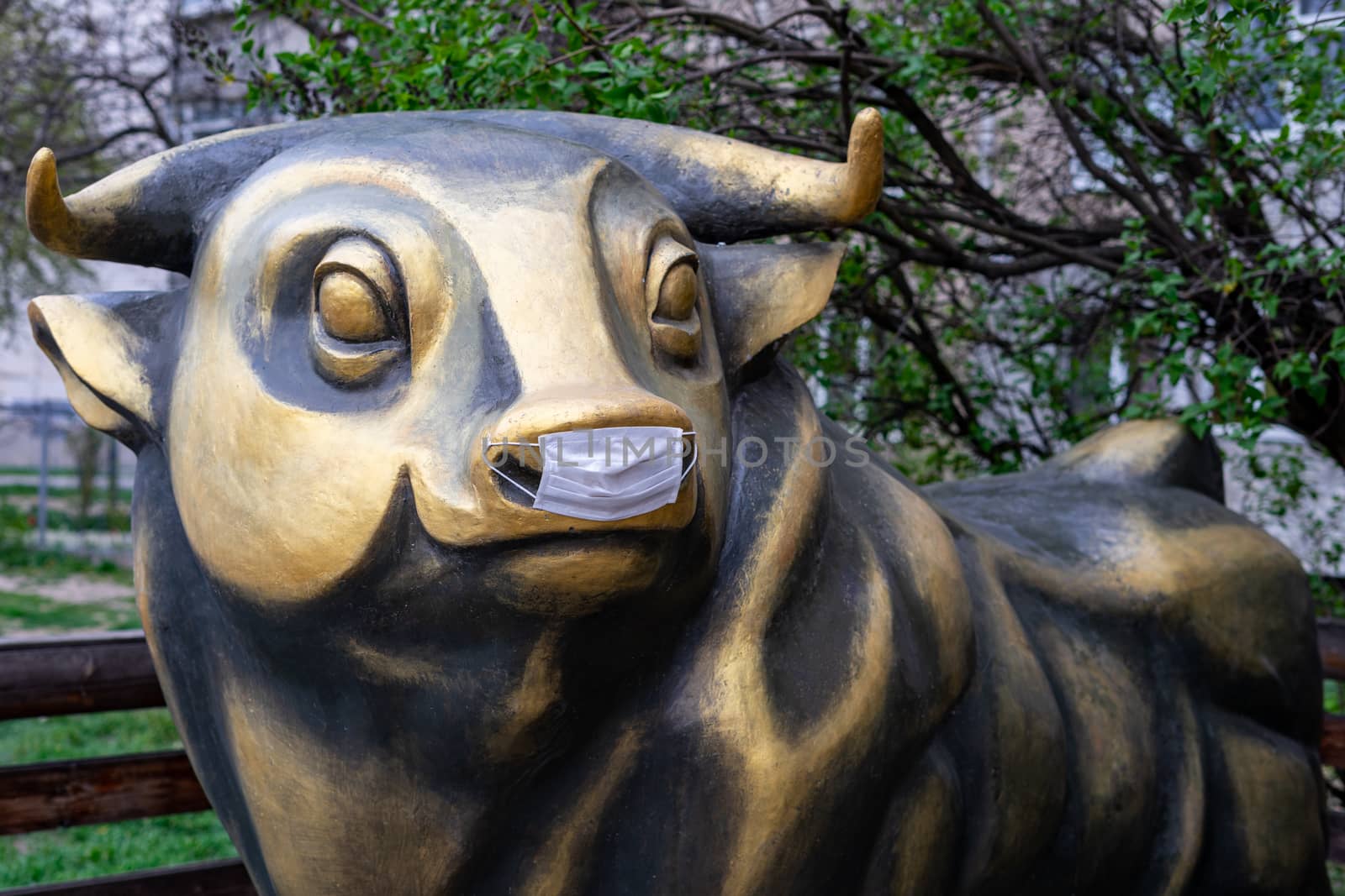 a bronze bull sculpture in a medical mask is protected against coronavirus