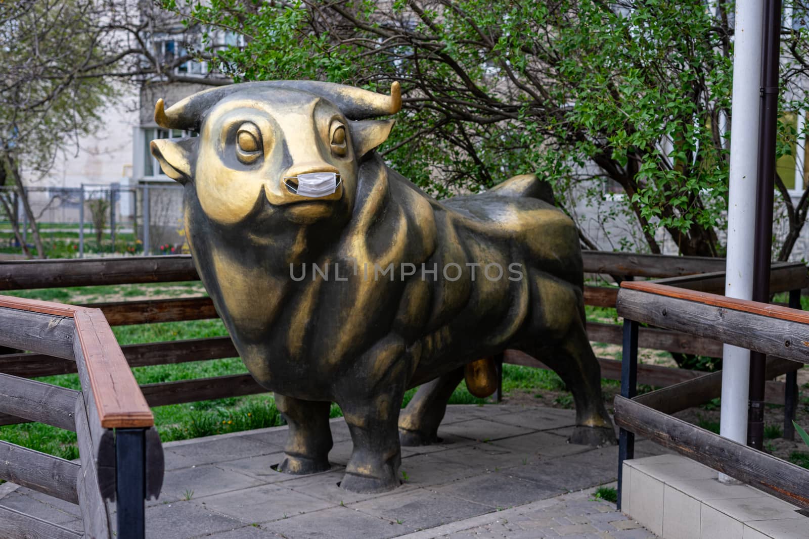 a bronze bull sculpture in a medical mask is protected against coronavirus by Serhii_Voroshchuk