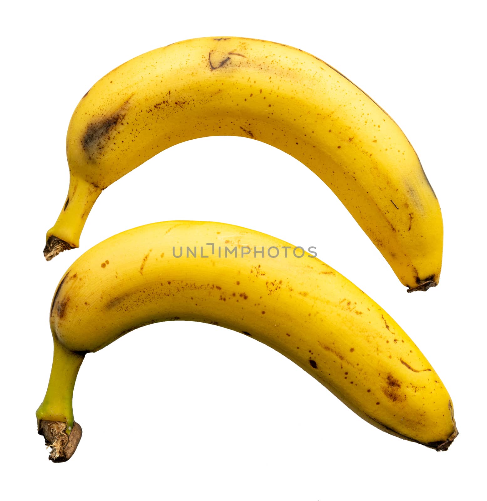 two yellow overflowing bananas on a former isolated background