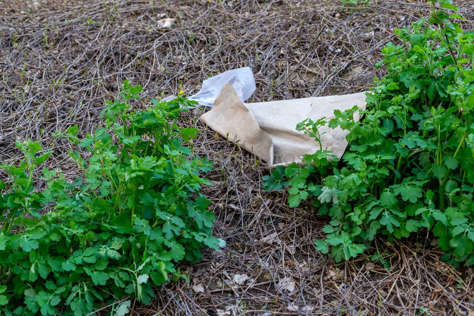 the problem of pollution of nature with human waste by Serhii_Voroshchuk