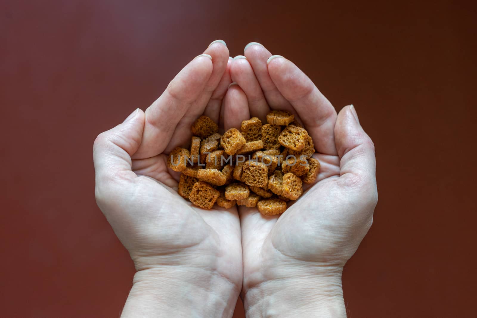 croutons of black bread in hands close up