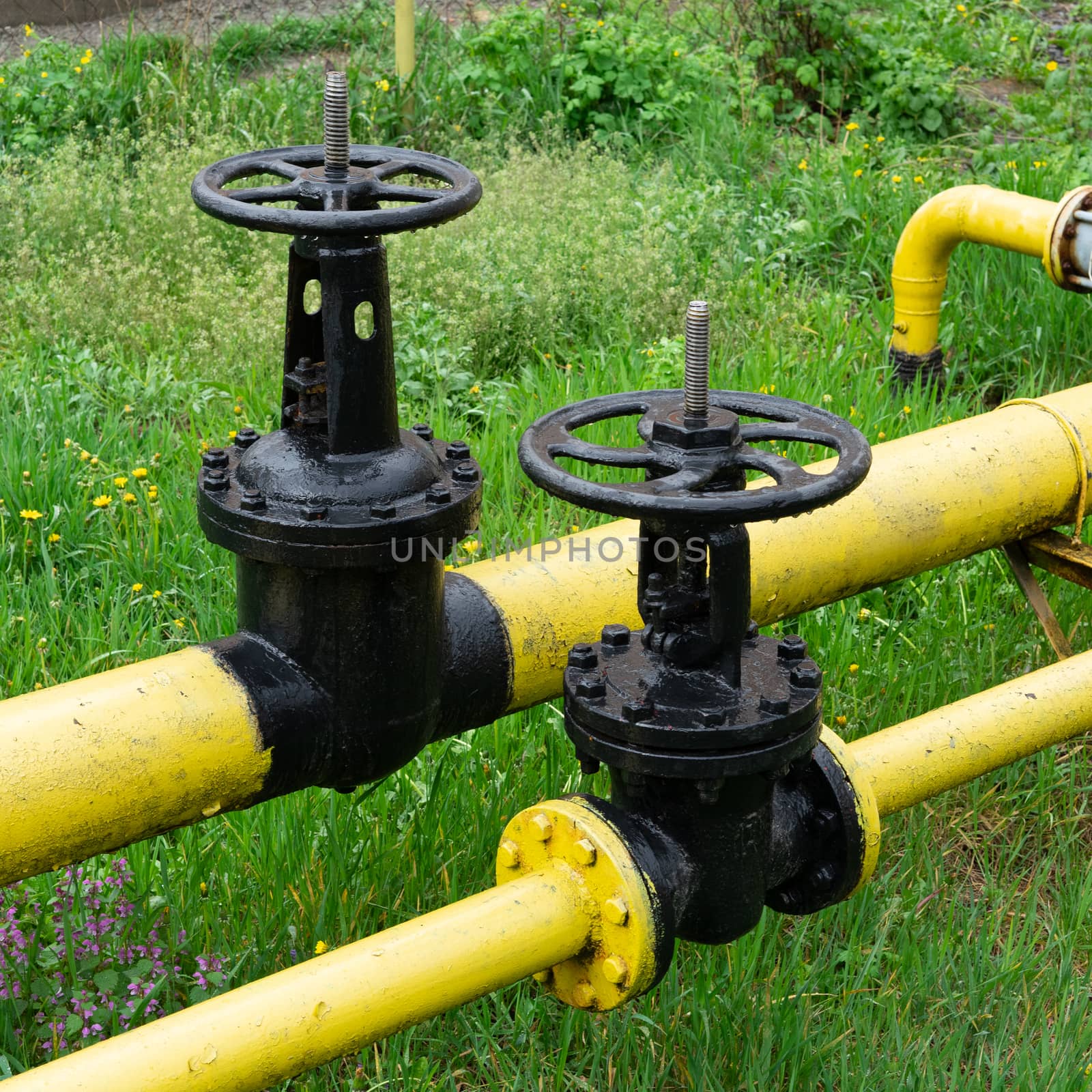 two massive black valves on a yellow gas pipe by Serhii_Voroshchuk
