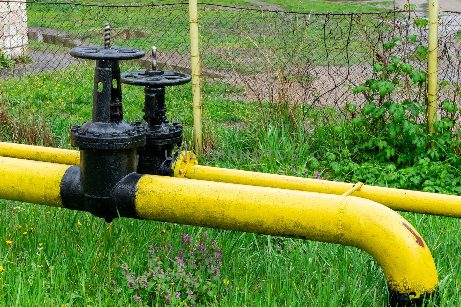 two massive black valves on a yellow gas pipe