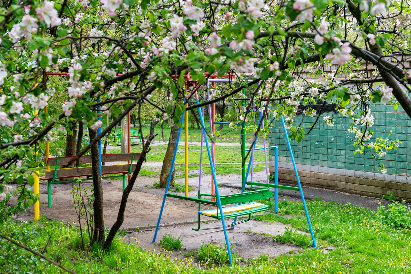 quarantine baby swing under a well-flowered tree by Serhii_Voroshchuk