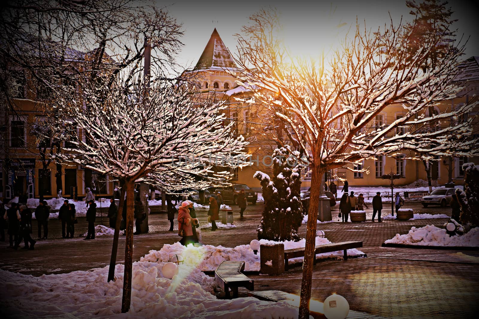 Beautiful sunny day in the city in winter. Ice froze on the branches of trees. People walk down the street. The sun breaks through the frozen branches of trees.                       