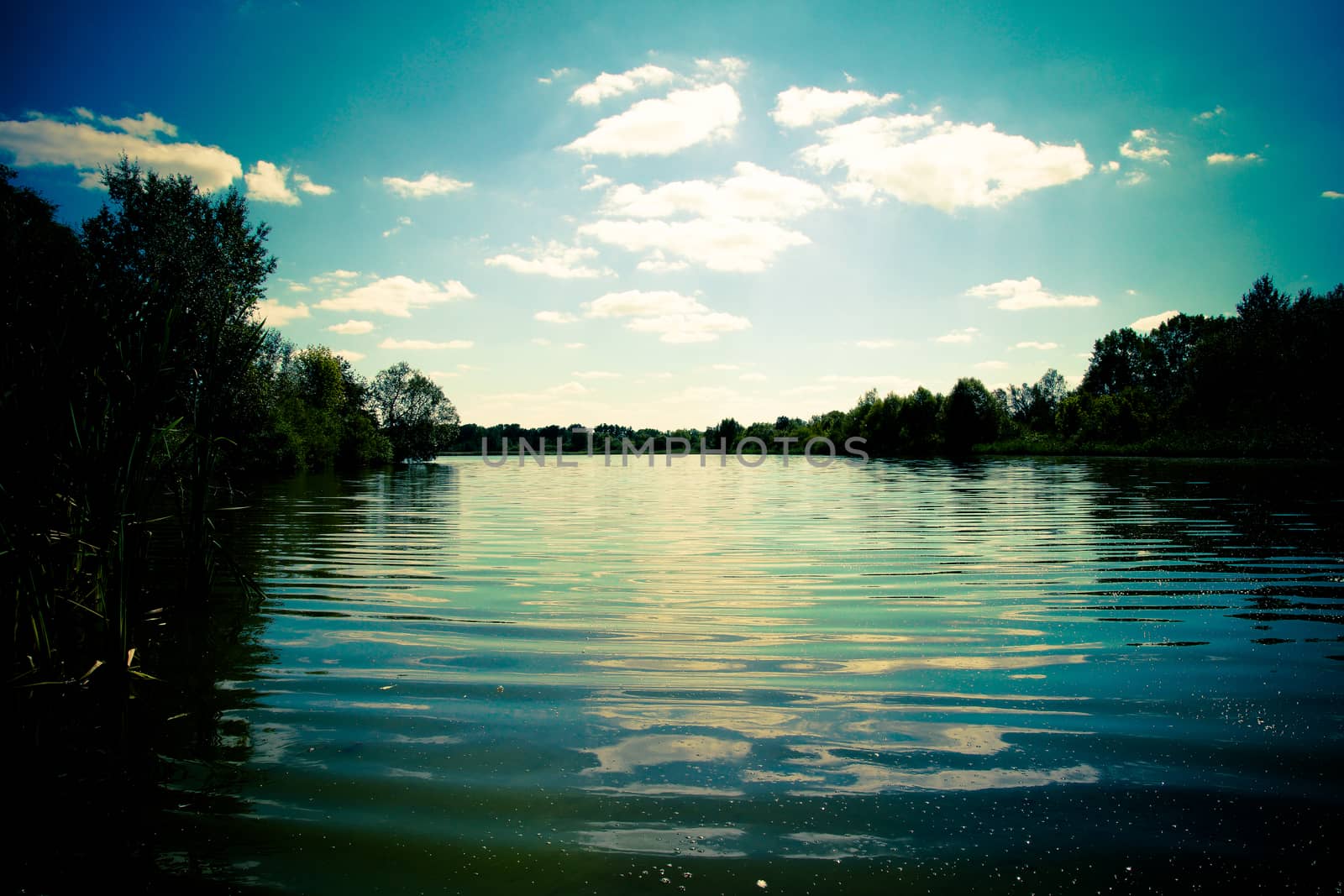 Sunset over the lake. The evening sun shines in the water by Serhii_Voroshchuk