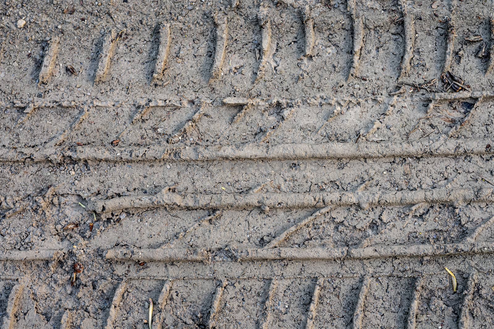 Dried imprint of the car wheel tread by Serhii_Voroshchuk