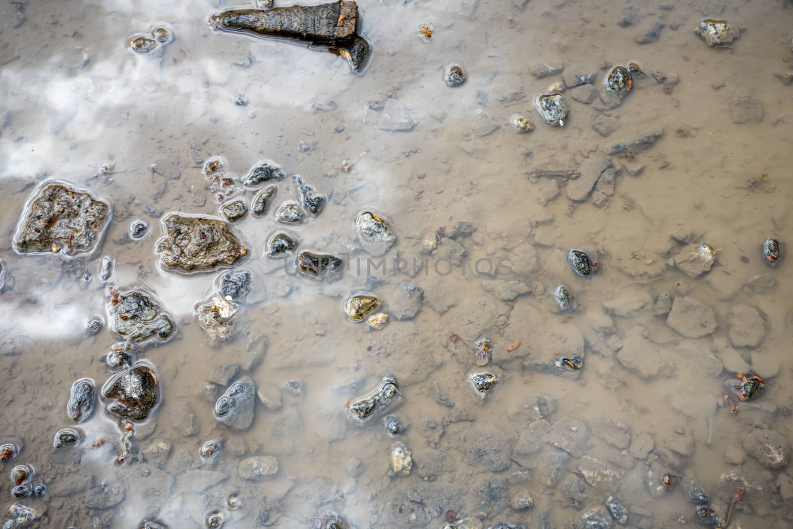 Puddle with granite rubble at the bottom