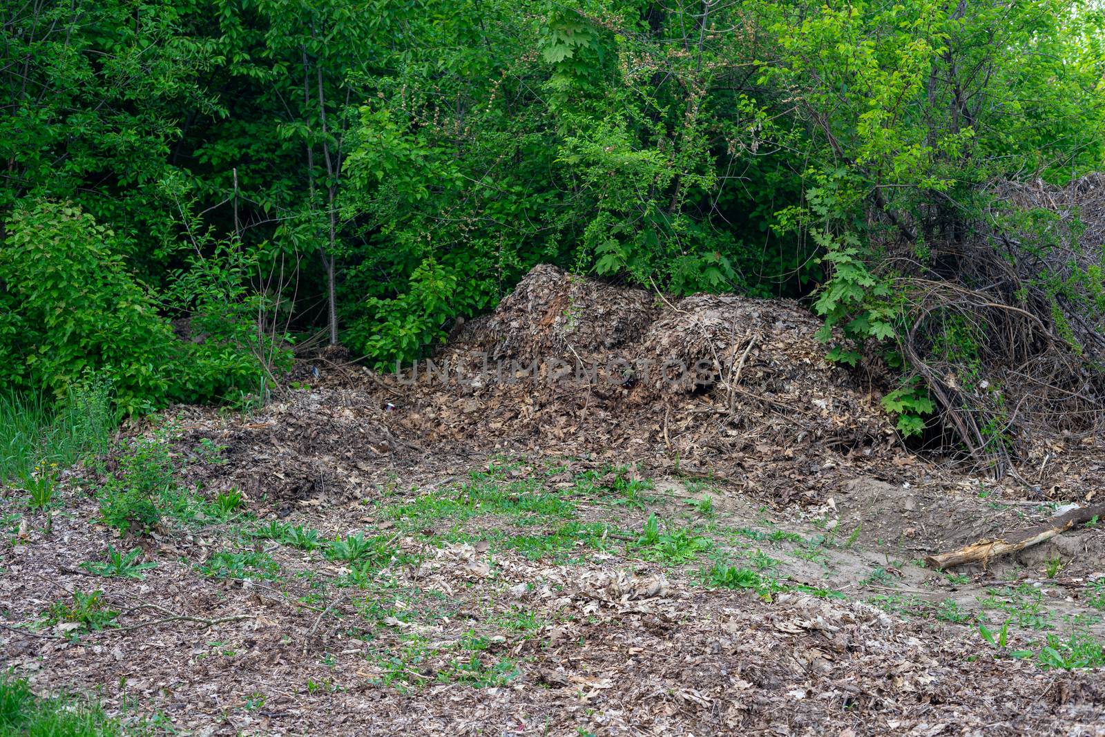 A big pile of garbage and last year's leaves in the protected area. Danger of fire in the park