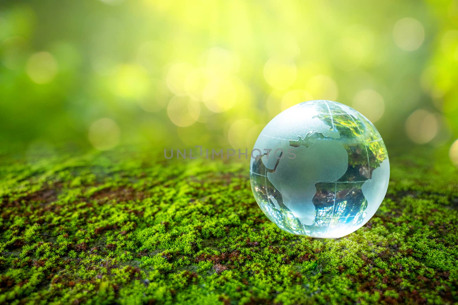 The crystal ball stands on the green grass. Concept day earth Save the world save environment