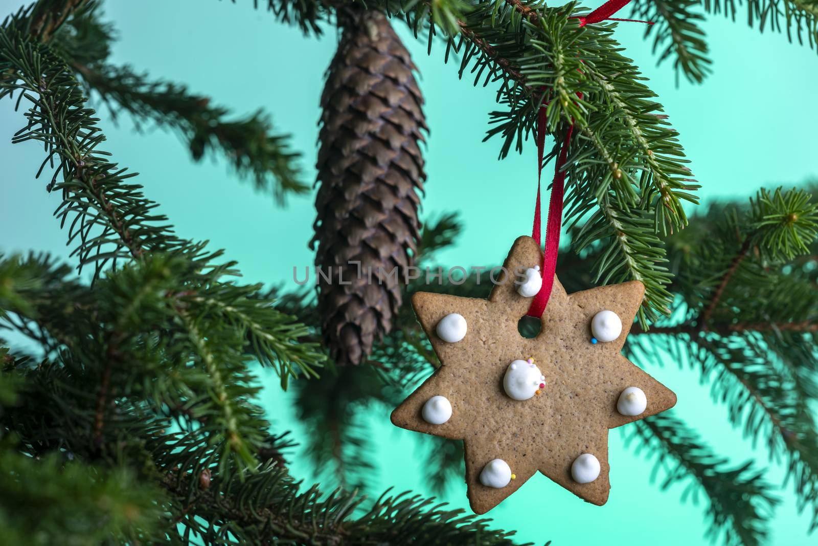 christmas cookie on a fir tree
