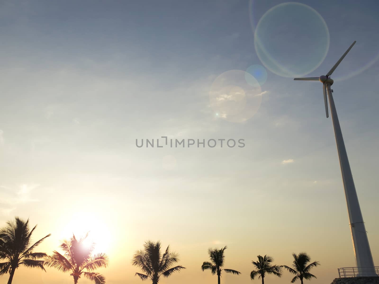 palm tree silhouette with wind turbine by asiandelight