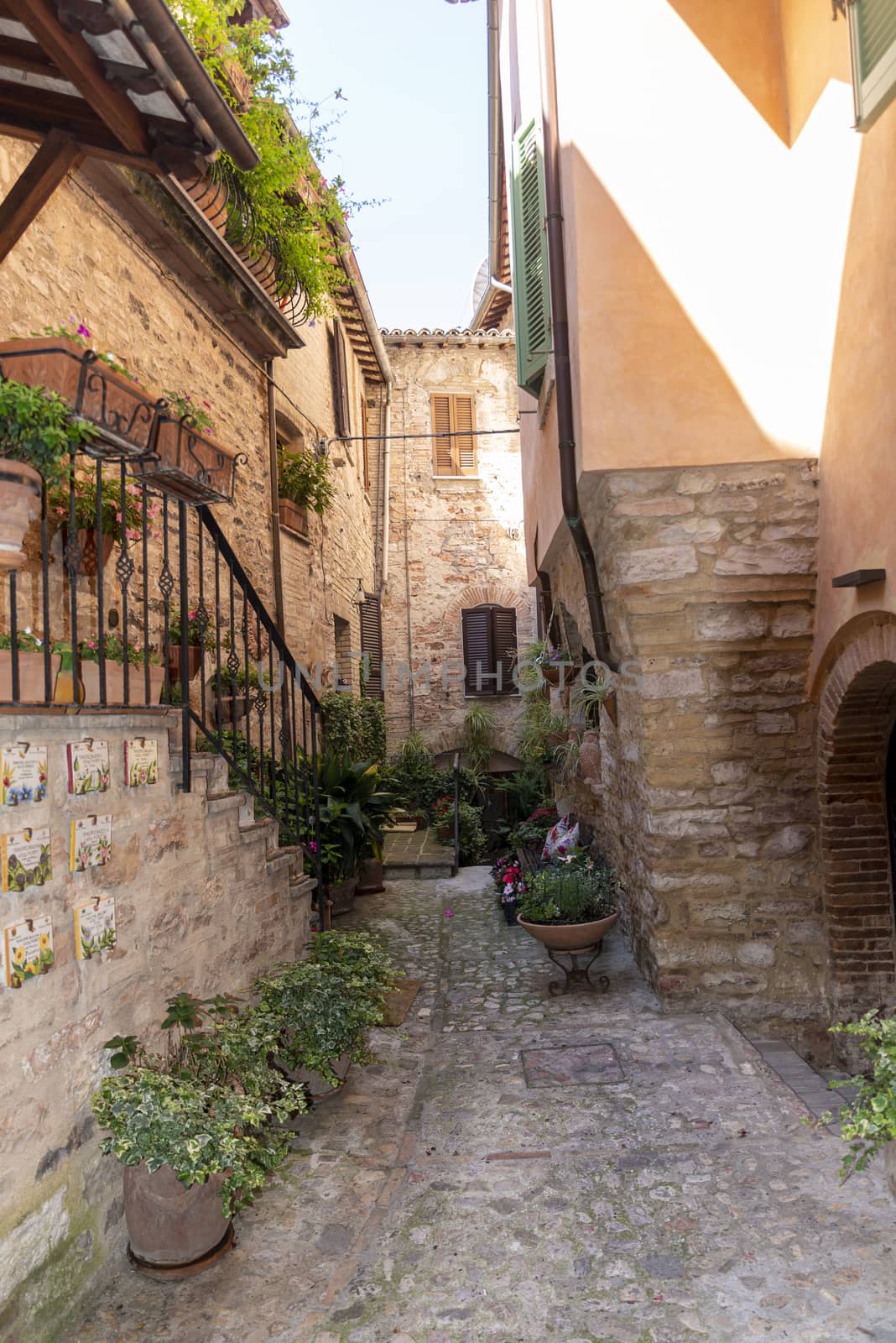 architecture in the alleys of the town of spello by carfedeph