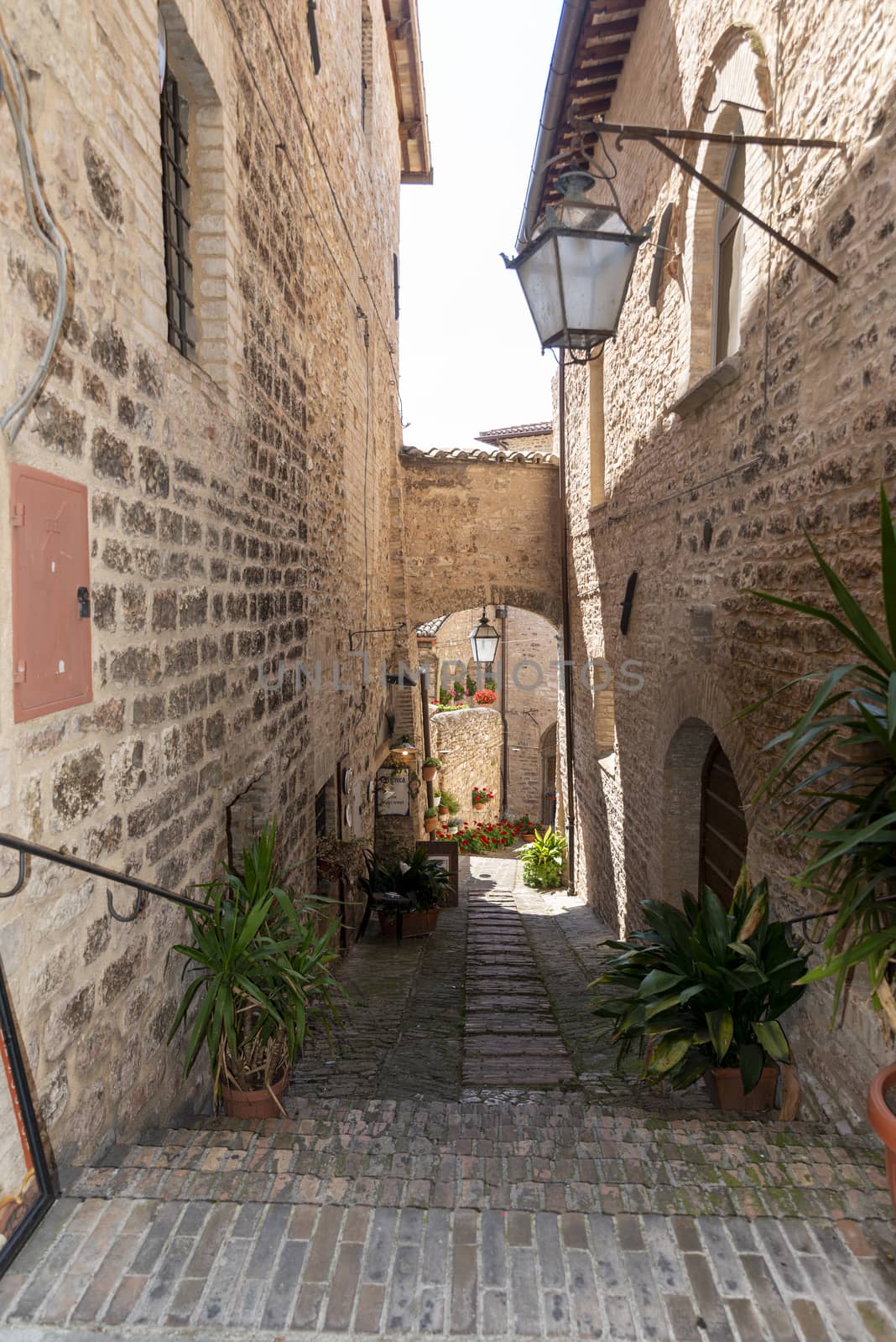 architecture in the alleys of the town of spello by carfedeph