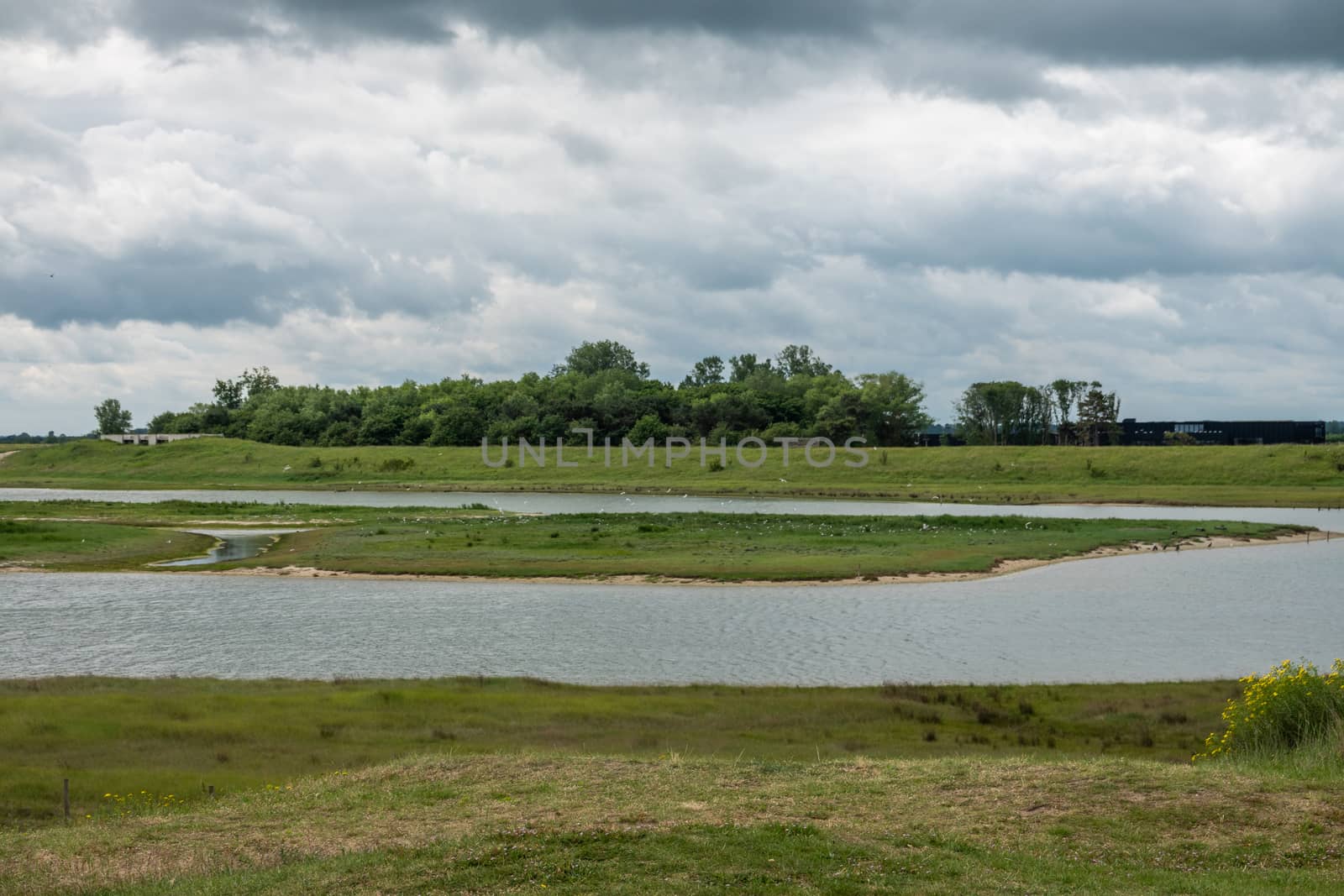 Zwin bird refuge plain, Knokke-Heist, Belgium. by Claudine
