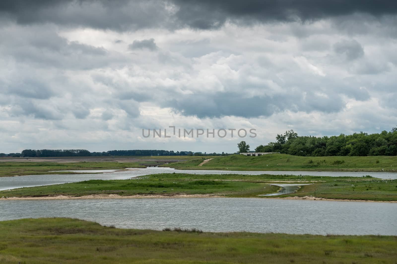 Zwin bird refuge plain, Knokke-Heist, Belgium. by Claudine