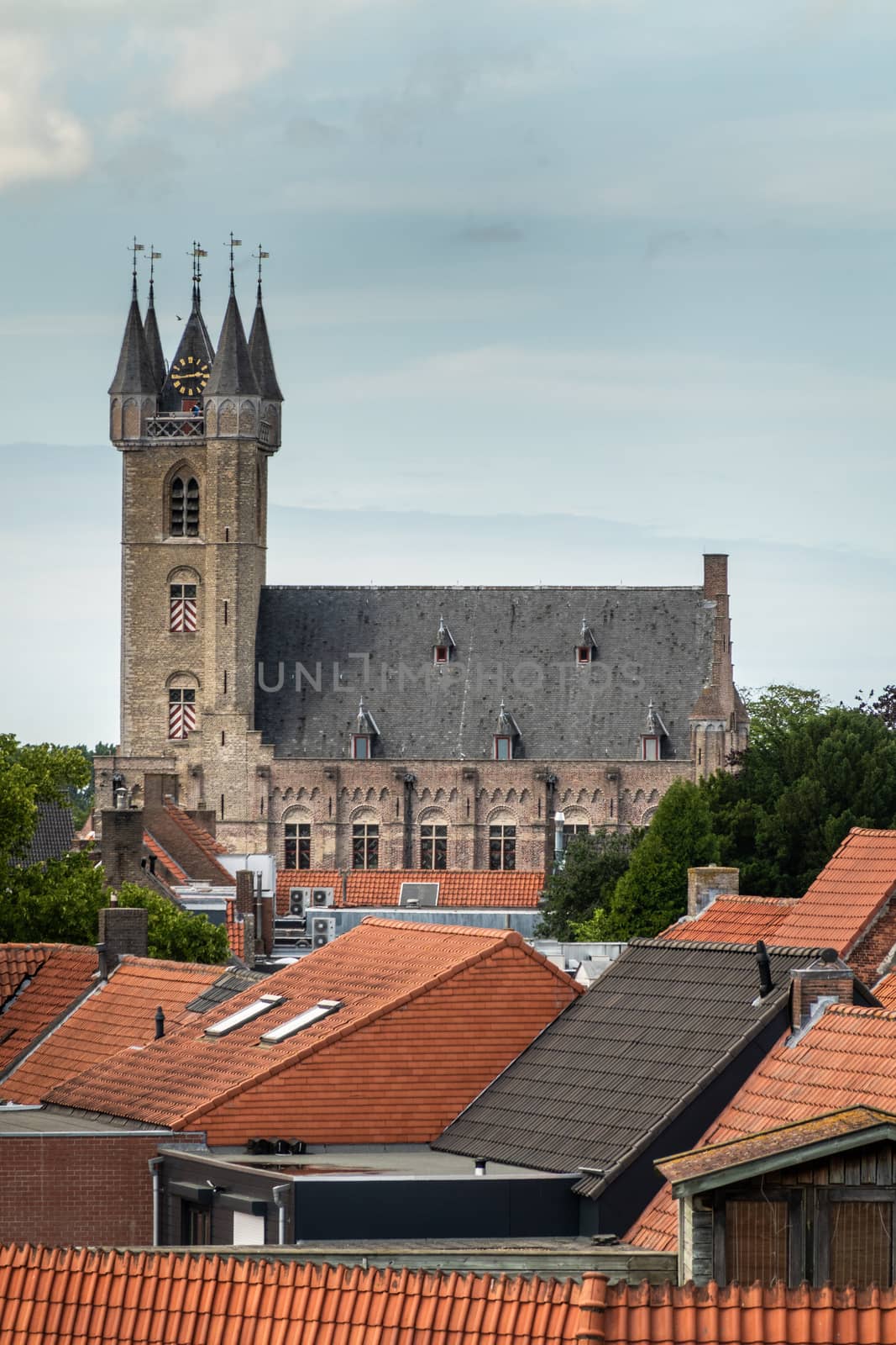 Sluis, the Netherlands -  June 16, 2019: View over red roofs at the brown brick Belfry with clock tower under light blue sky. Some Green foliage.