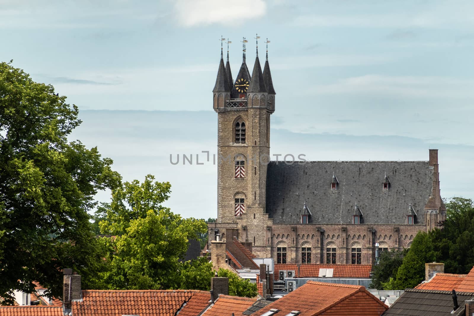 Sluis, the Netherlands -  June 16, 2019: View over red roofs at the brown brick Belfry with clock tower under light blue sky. Some Green foliage.