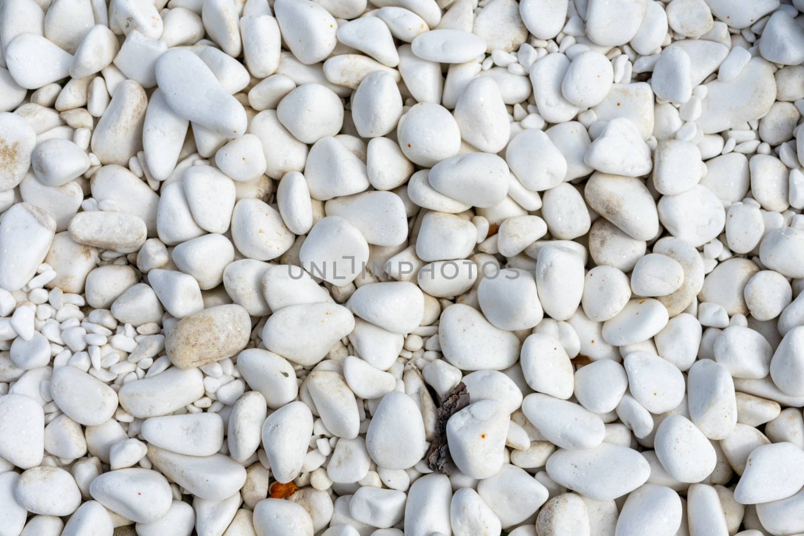 White sea stones as a background. Decorative decoration of flower beds