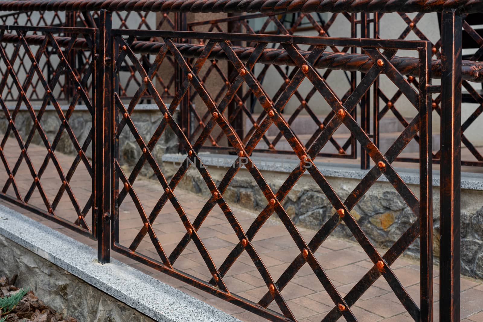 Iron fence with iron mesh. The appearance of the fence. Registration of the house territory by Serhii_Voroshchuk