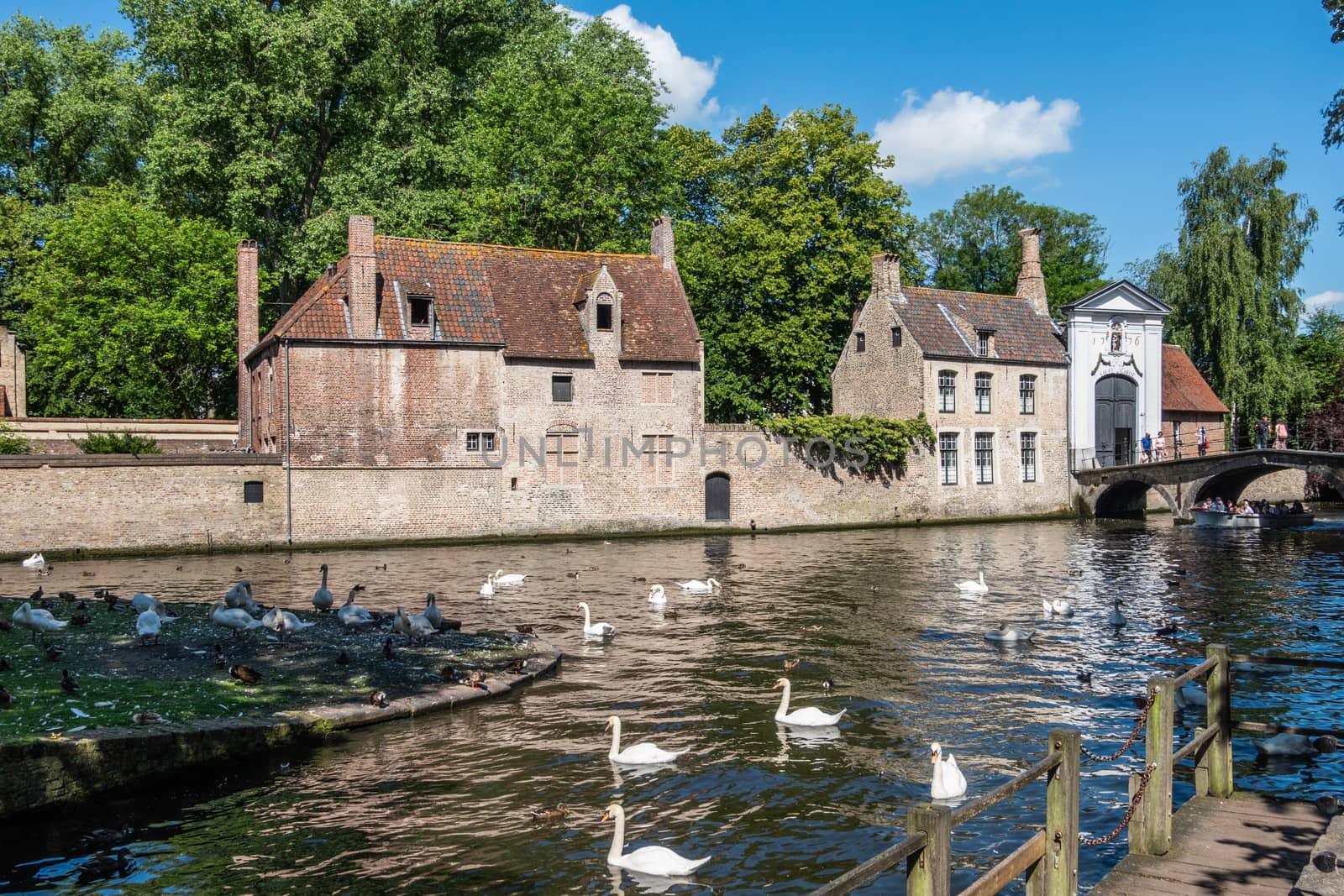 Bruges, Flanders, Belgium -  June 17, 2019: Brown brick stone outer facade and wall of Beguinage. Dark canal with white swans and boat in front. Blue sky and green foliage.