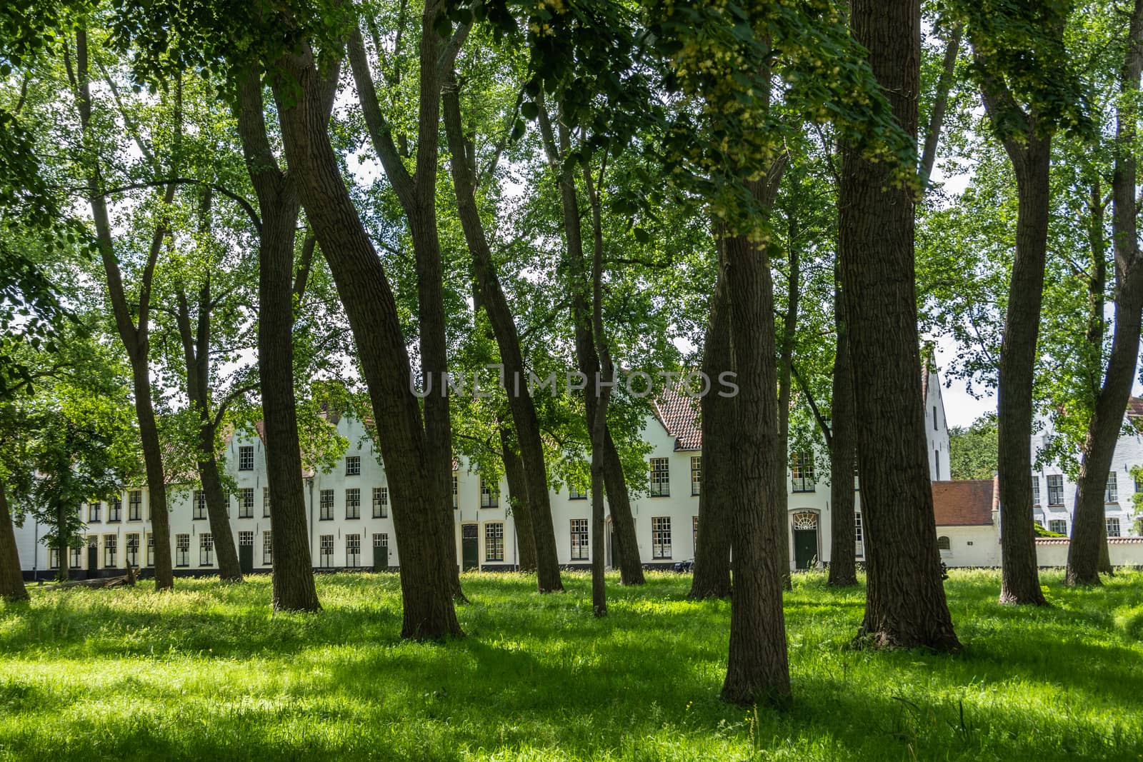 Enclosed park of Beguinage in Bruges, Flanders, Belgium. by Claudine
