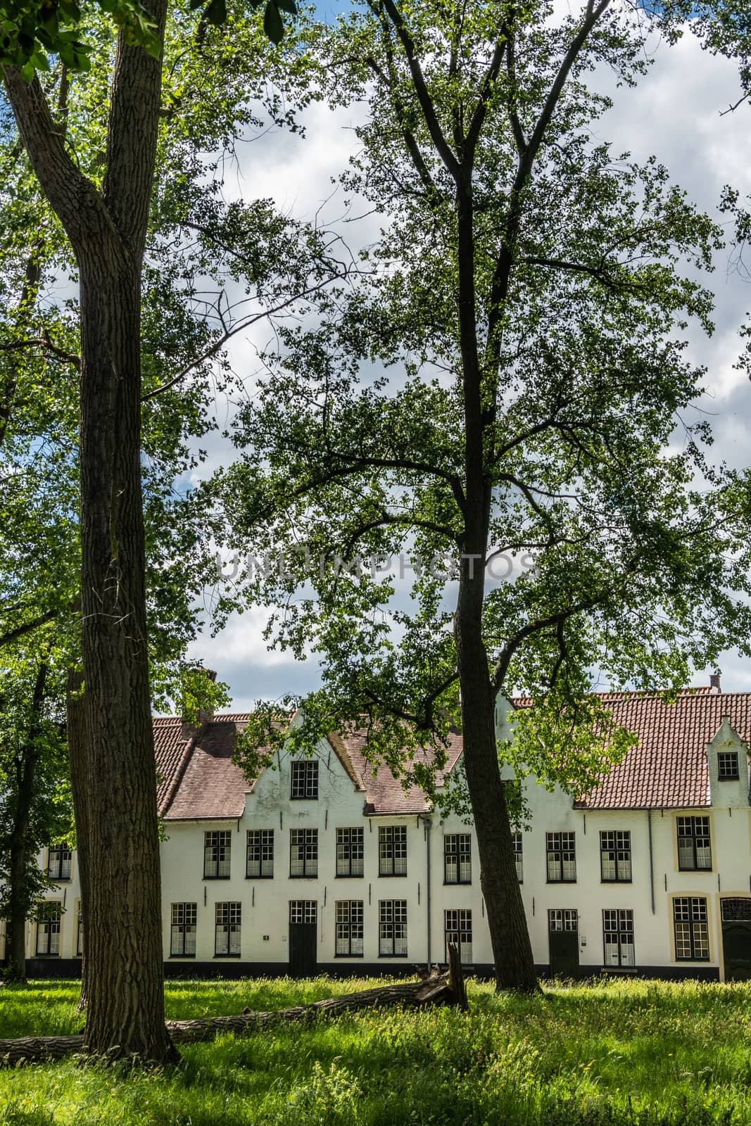 Part of enclosed park of Beguinage in Bruges, Flanders, Belgium. by Claudine