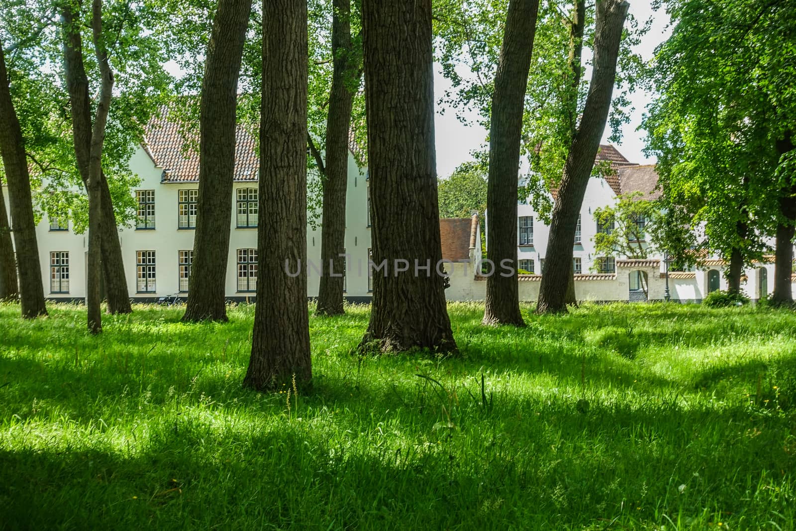 Enclosed park of Beguinage in Bruges, Flanders, Belgium. by Claudine