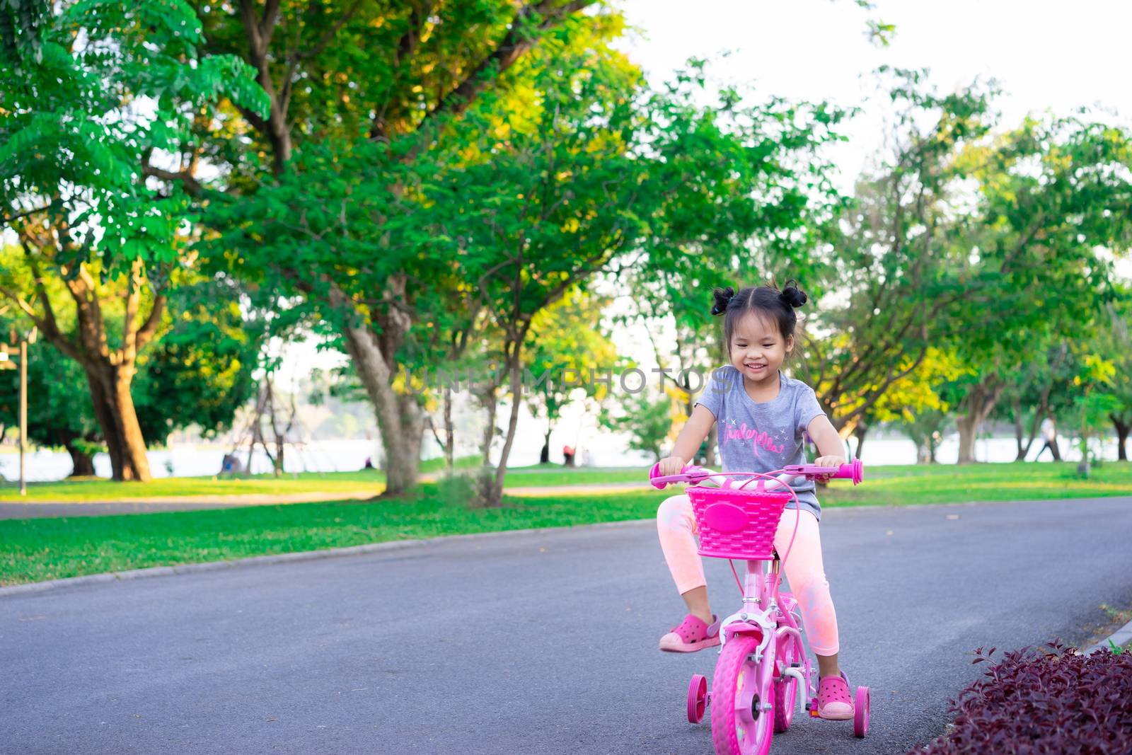 Cute little asian girl riding a bicycle to exercise in park, kids sport and active lifestyle