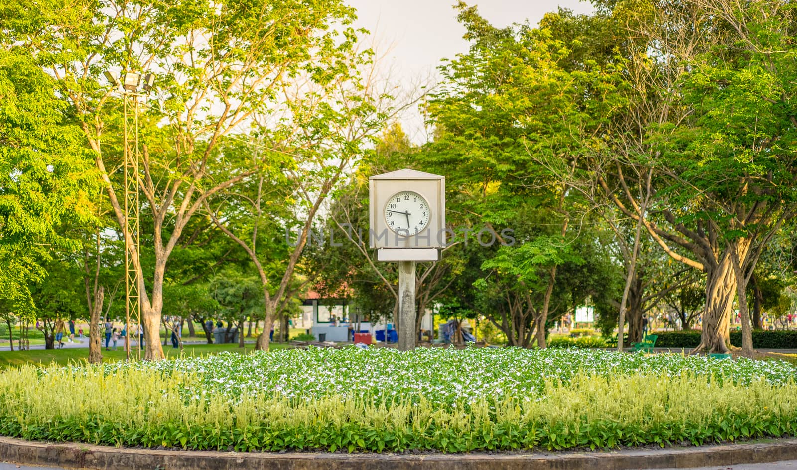 Clock in the park with sunlight