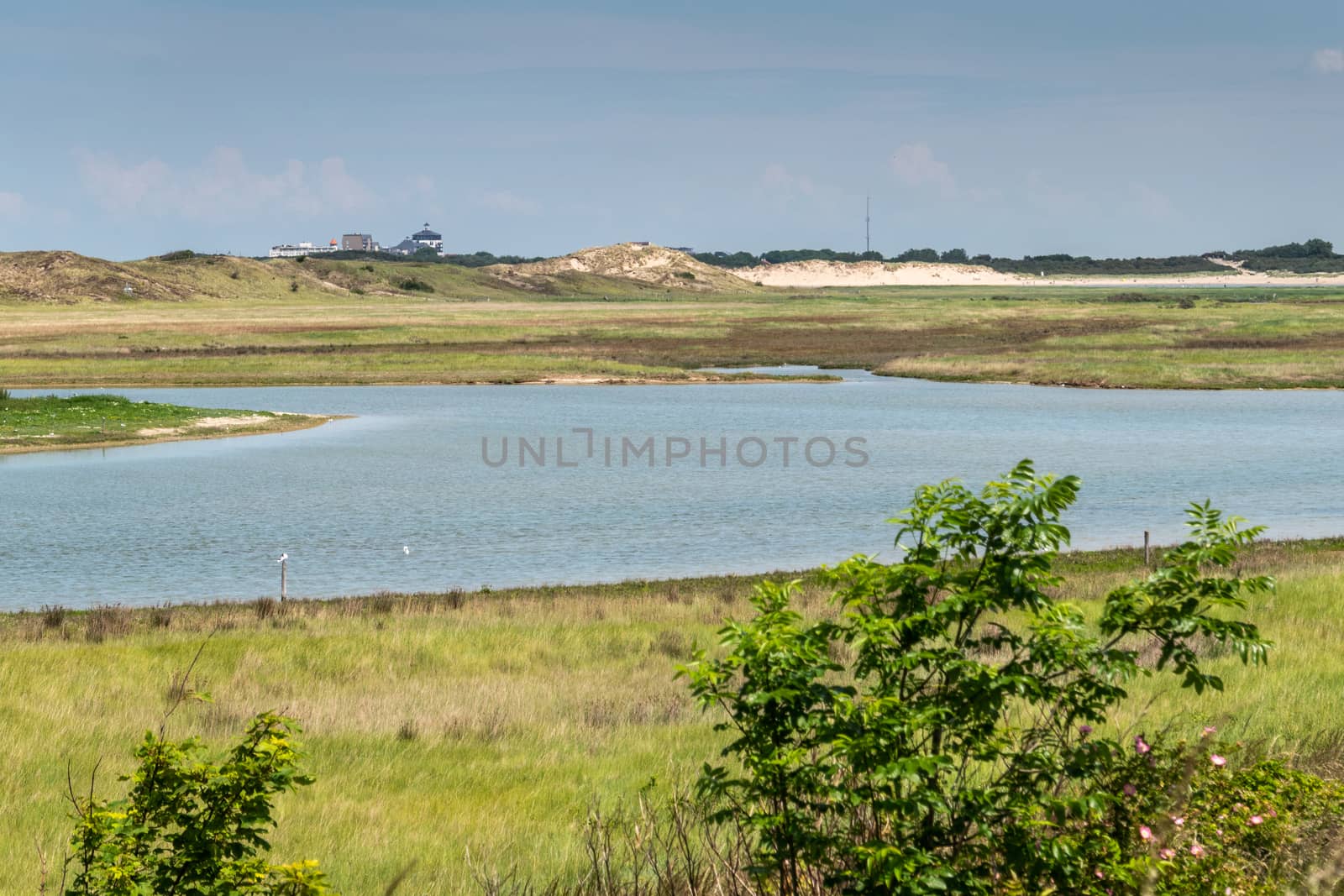 Salt water creek and dunes in Zwin Bird Refuge, Knokke-Heist, Fl by Claudine