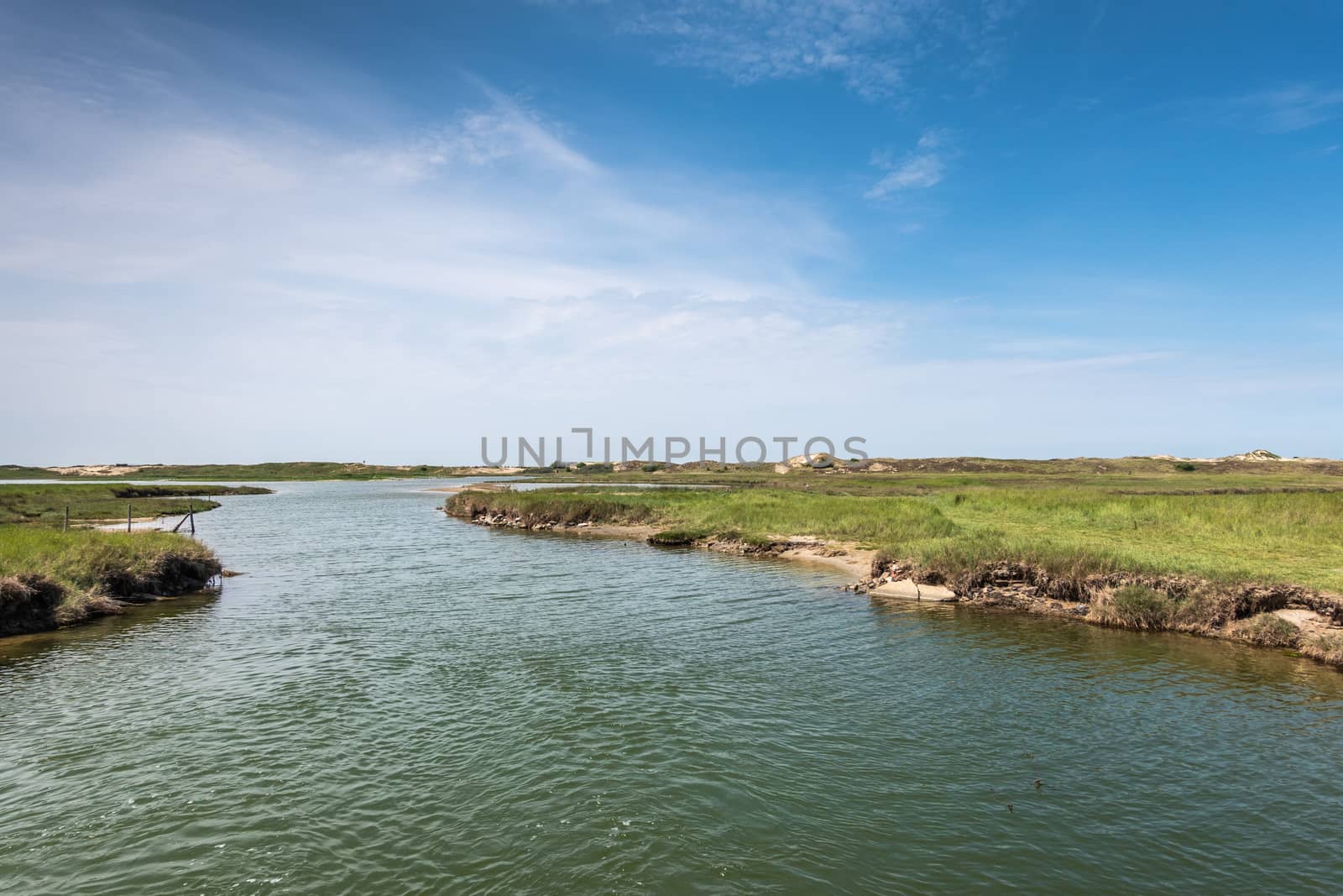 Knokke-Heist, Flanders, Belgium -  June 18, 2019: Zwin Bird Refuge. Landscape with salt water creek in front of the dunes protecting from Nord Sea..