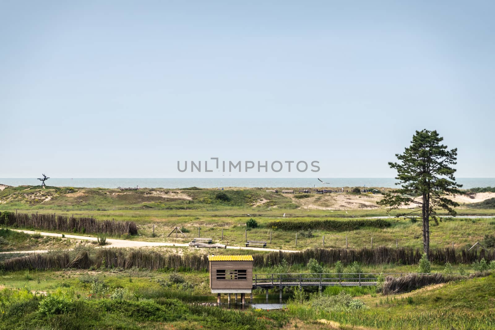 Knokke-Heist, Flanders, Belgium -  June 18, 2019: Zwin Bird Refuge. Landscape with dunes and Nord Sea behind. Lookout hut and Hare statue in the far distance. Green foliage and light blue sky.
