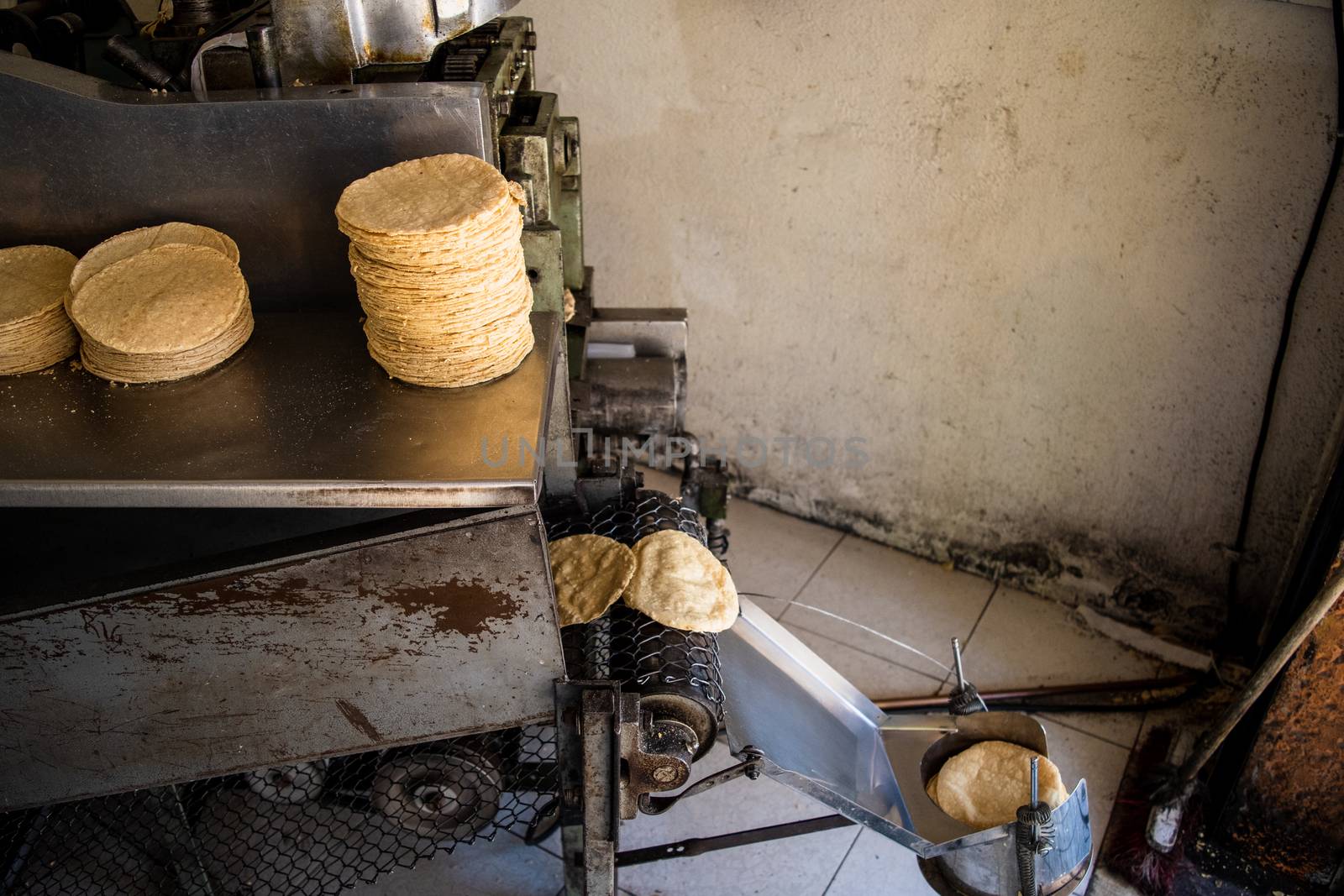 tortillas stacked on a tortilla machine by Tonhio