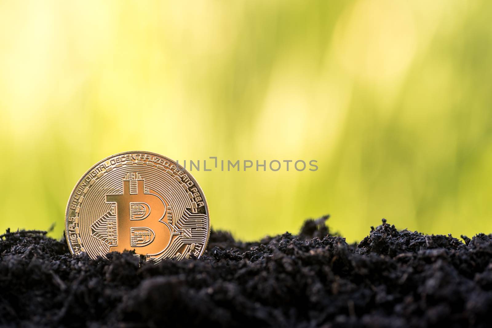gold bitcoin grow from soil