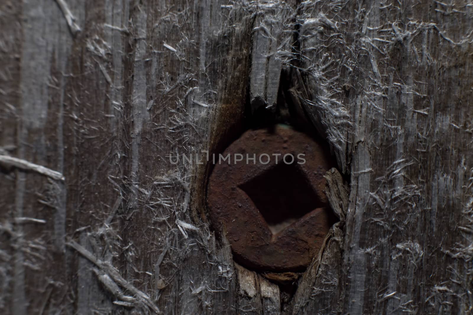 A close-up of a rusty screw with a square recess that has been pushed deep into aged wood causing splinters.